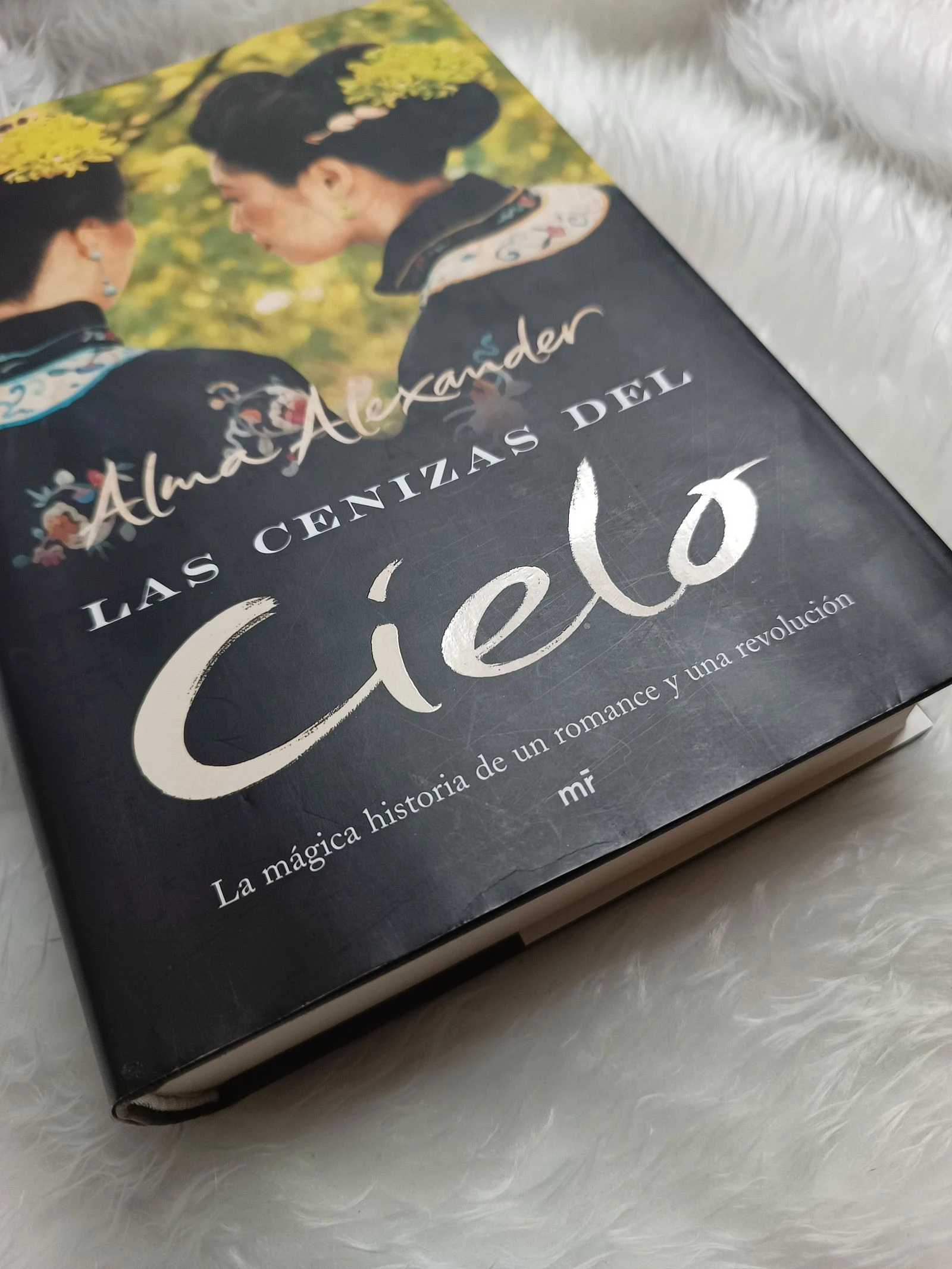Boek De As van de Hemel – photo 15